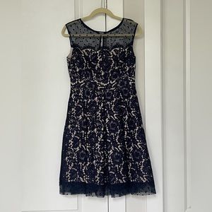 Eliza J Navy Lace Tulle lined dress